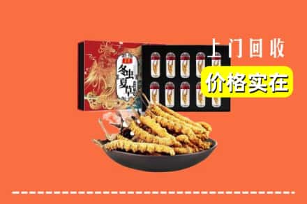 乌兰察布察哈尔右翼中旗回收冬虫夏草